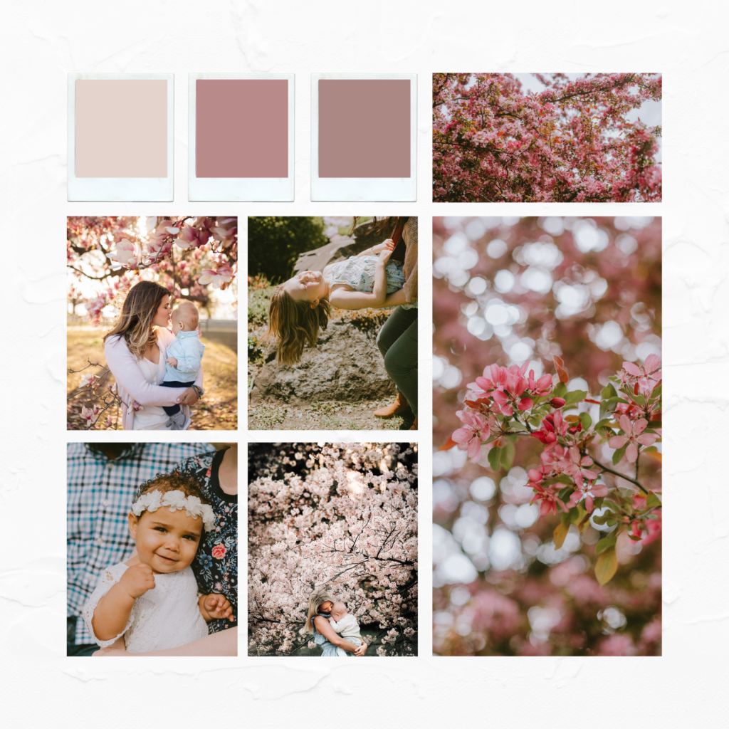 Pink tree mood board for spring mini sessions 2022