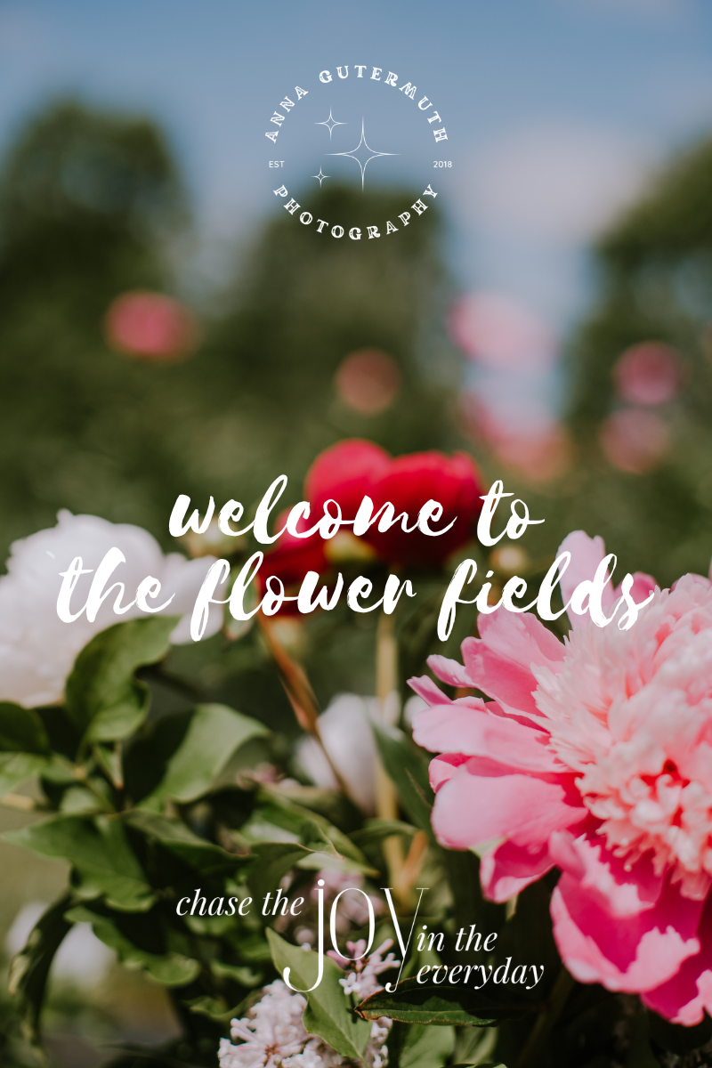 Slightly out of focus white and pink peonies with green leaves and a blue sky with text that reads Welcome to the flower fields